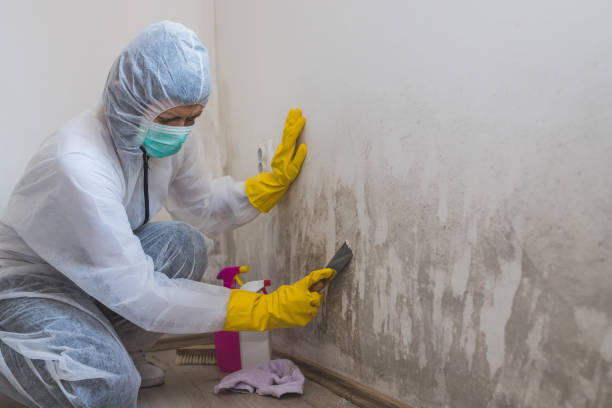 Best Biohazard Mold Removal  in Allison Rk, PA