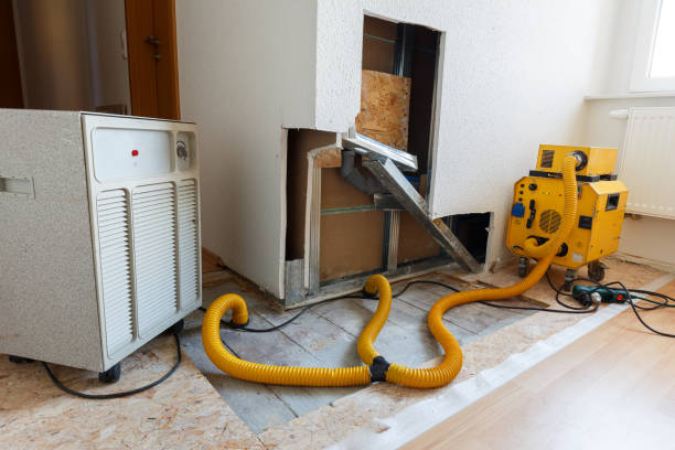 Best Asbestos and Lead Testing During Mold Inspection  in Allison Rk, PA