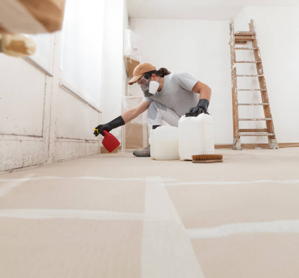 Best Emergency Mold Remediation  in Allison Rk, PA