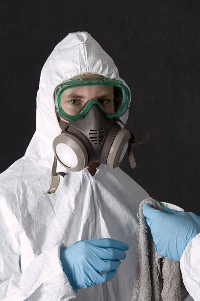  Allison Rk, PA Mold Removal Pros